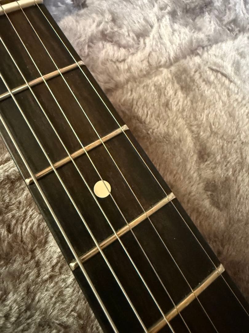 ギター Fender American Professional LTD