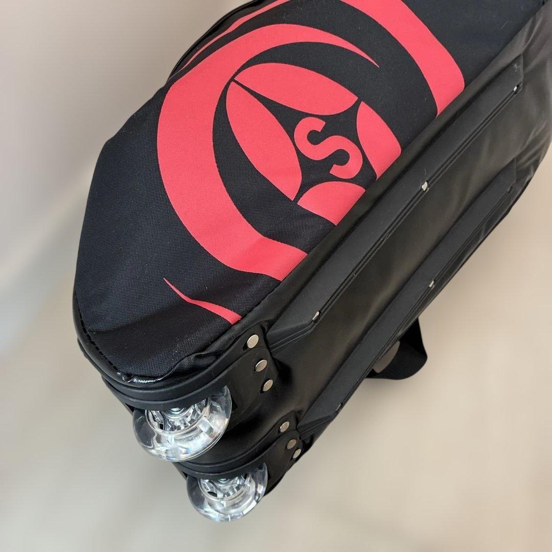 OGASAKA TWO DXW 2台用　スキーケース M 175cmまで