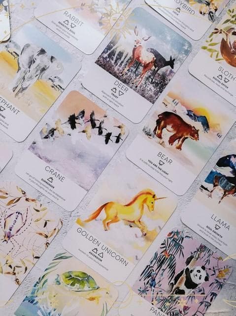 【正規品オラクルカード】希少レア✨柔らかい色彩✨動物たちのエネルギーのオラクル