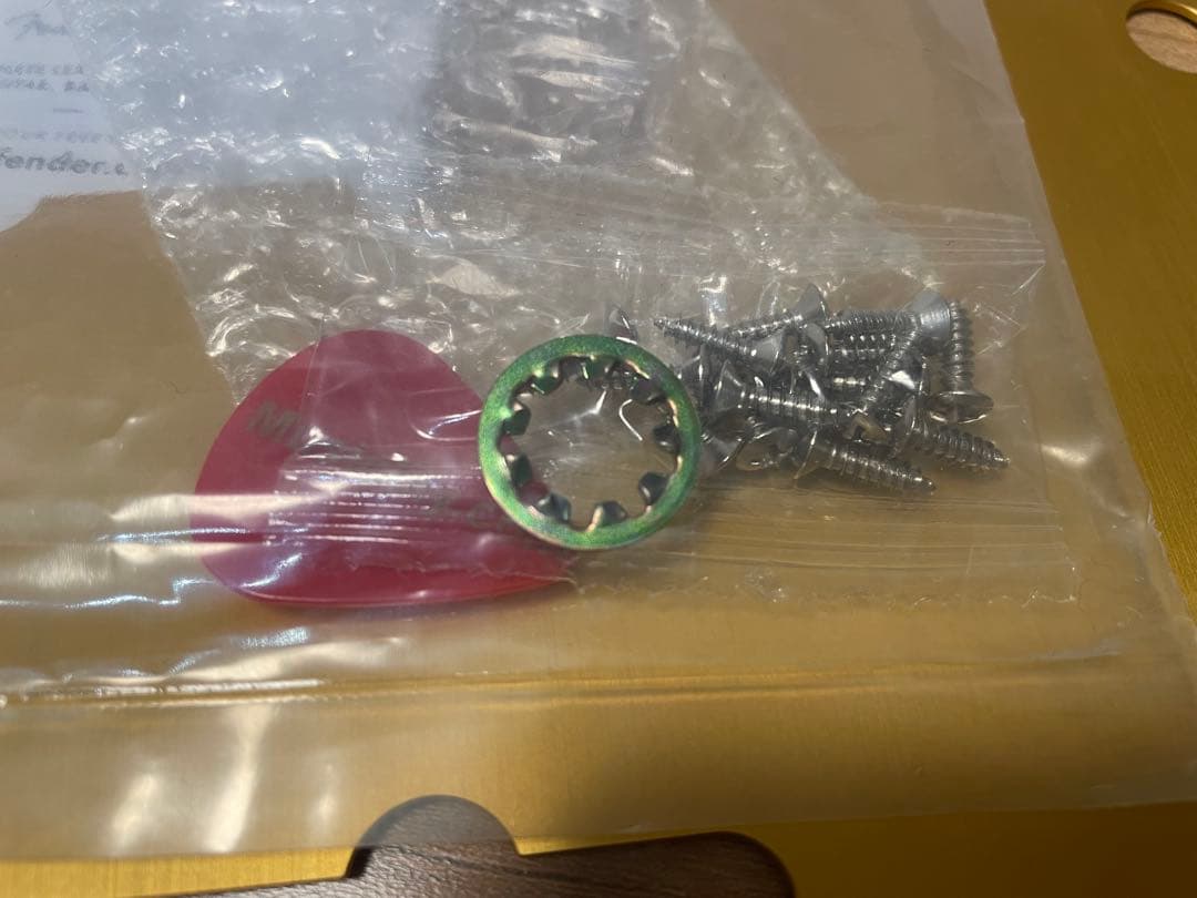 ギター Squiar by Fender J Mascis Jazzmaster